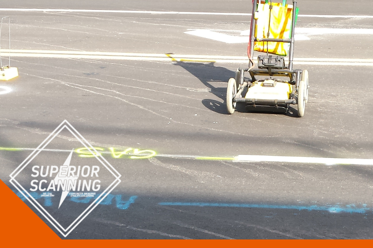 Utility markings for water and gas are spray-painted on asphalt, with a utility locating device in the background.